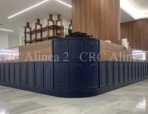 Avances en la Instalación de Mobiliario para Estancos en Almería